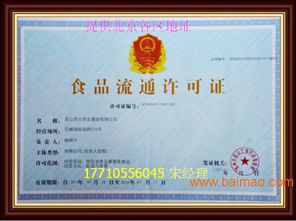 企业一站式服务指南 从公司注册到软件开发的全方位解决方案